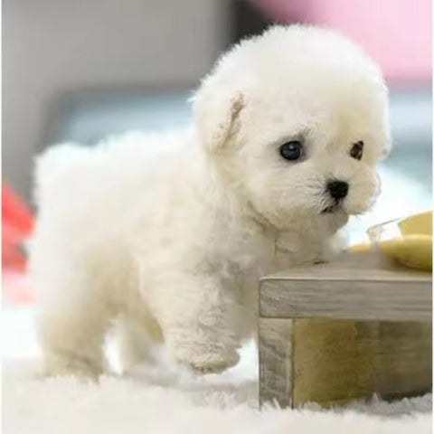 Realistic Robot Puppy 2.0 Upgrade (URBAN LANE GOODS LLC - AL)