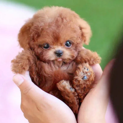 Realistic Robot Puppy 2.0 Upgrade (URBAN LANE GOODS LLC - AL)
